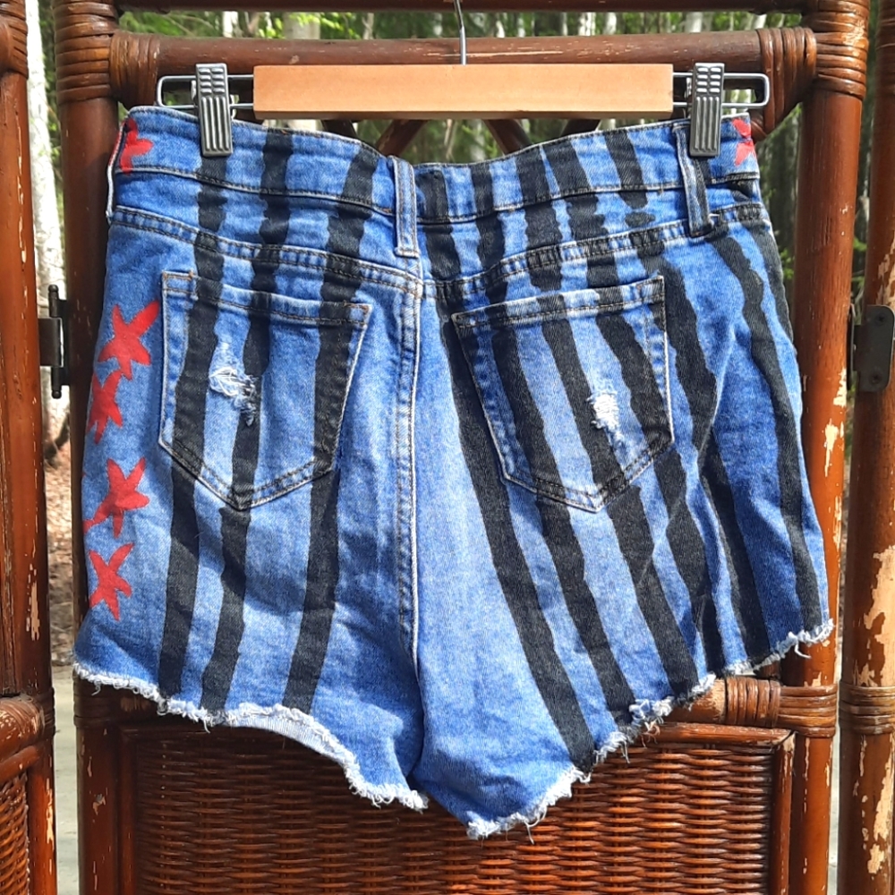 Birds Of Prey Patriotic Jean Short View 6
